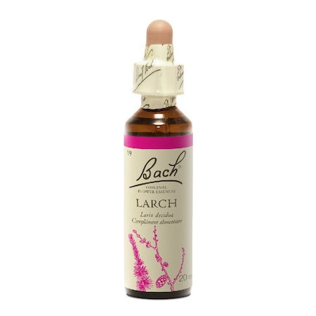 Power Health Bach Larch Ανθοΐαμα για την Αντιμετώπιση των Καθημερινών Συναισθηματικών Απαιτήσεων 20ml