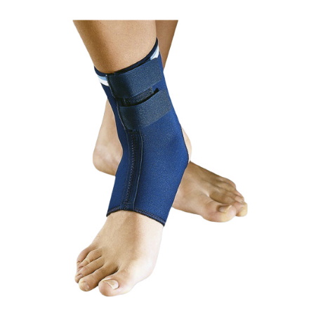 Anatomic Help 0030 Επιστραγαλίδα με δυο Δέστρες