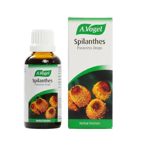 A.Vogel Spilanthes Βάμμα από Φρέσκο Σπιλανθές για τις Μυκητιάσεις του Δέρματος 50ml
