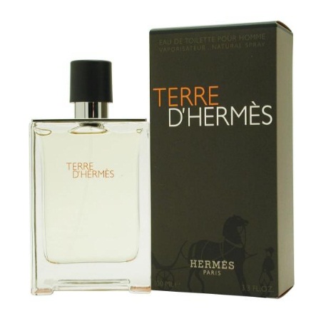 Hermes Terre D' Hermes Eau de Toilette Ανδρικό Άρωμα με Νότες Ξύλου 100ml