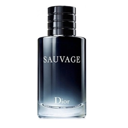 Christian Dior Sauvage Eau De Toilette Ανδρικό Άρωμα με Ανατολίτικες Νότες 100ml