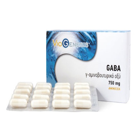 VioGenesis GABA 750mg Συμπλήρωμα Διατροφής Κατά της Αϋπνίας και του Άγχους 60 Κάψουλες
