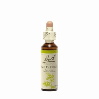 Power Health Bach Wild Rose Ανθοΐαμα για την Αντιμετώπιση των Συναισθηματικών Απαιτήσεων της Καθημερινής Ζωής 20ml