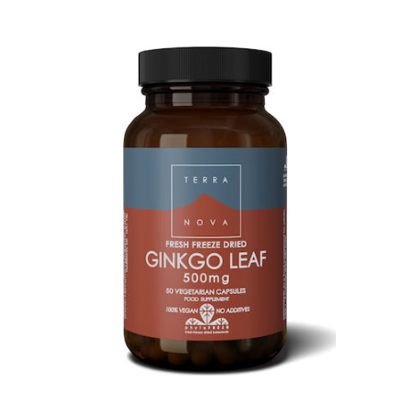 Terranova Ginkgo Leaf 500mg Συμπλήρωμα Διατροφής Για Ενίσχυση της Μνήμης 50 κάψουλες