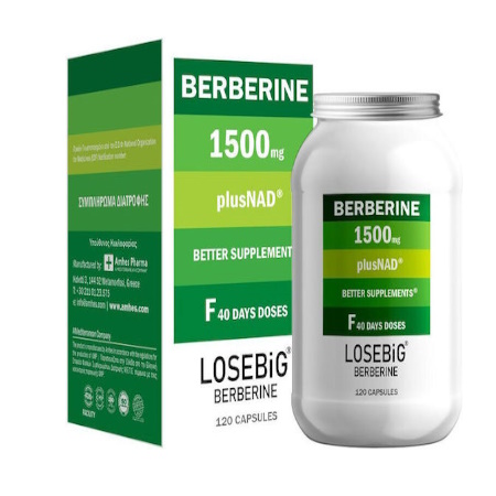 Losebig Berberine 1500mg Plus Nad Συμπλήρωμα Διατροφής Βερβερίνης & Ενζύμου NAD για την Αντιμετώπιση του Μεταβολικού Συνδρόμου, Απώλεια Βάρους 120 Κάψουλες