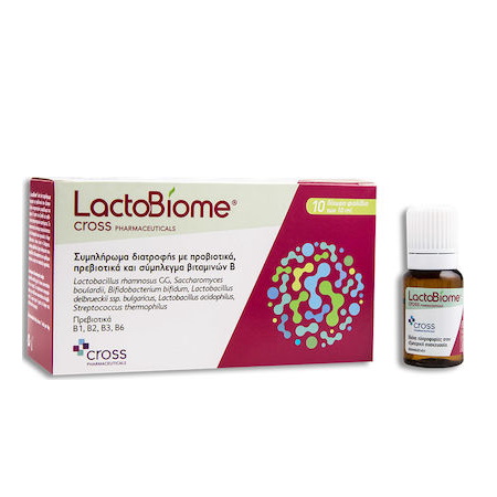 Cross Pharmaceuticals LactoBiome Συμπλήρωμα προβιοτικών, πρεβιοτικών & βιταμινών Β σε φιαλίδια 10x10ml