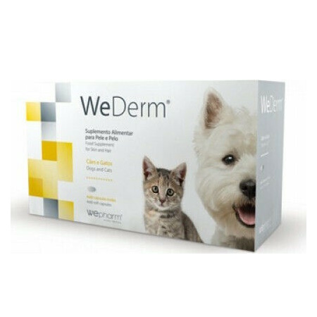 Wepharm WeDerm Συμπλήρωμα Διατροφής Σκύλου και Γάτας για Δέρμα & Τρίχωμα 60 Δισκία