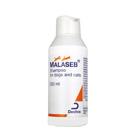 Dechra Malaseb Σαμπουάν Σκύλου 250ml