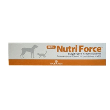 Tafarm Noutriforce Gel Πολυβιταμινούχο Διατροφικό Συμπλήρωμα Συμπυκνωμένης Ενέργειας σε Μορφή Γέλης για Σκύλους και Γάτες 120gr