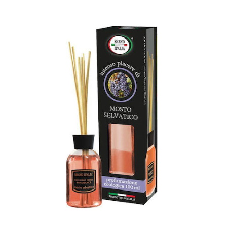 Brand Italia Αρωματικό Χώρου με Sticks Οικολογικό Φρούτα Του Δάσους 100ml