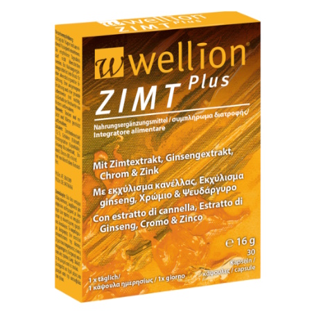 Wellion Cinnamon Plus Συμπλήρωμα Διατροφής για τις Ανάγκες των Διαβητικών με Κανέλα 30 Κάψουλες
