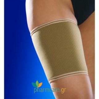 Anatomic Help 0095 Επιμηρίδα